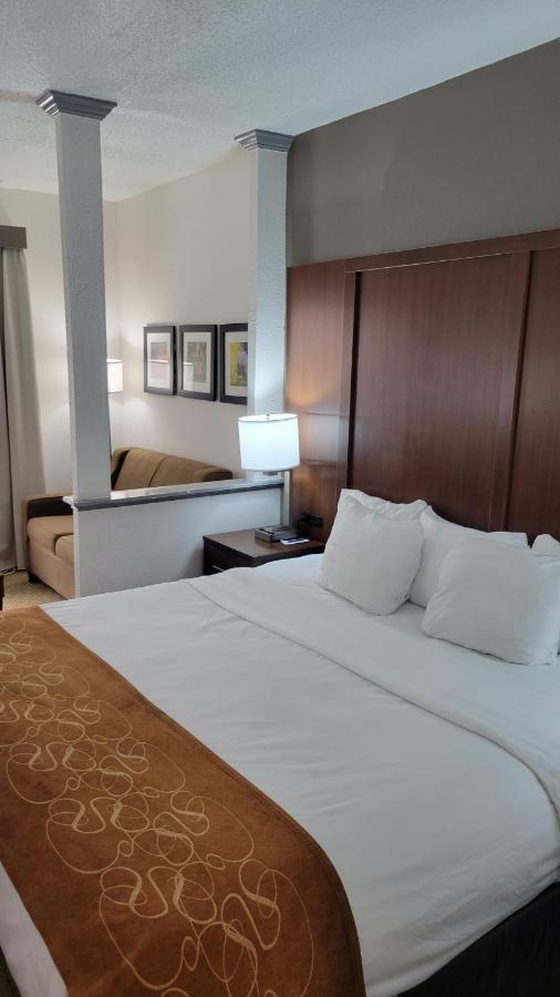 Comfort Suites Cumming-Atlanta Near Northside Hospital Forsyth Dış mekan fotoğraf