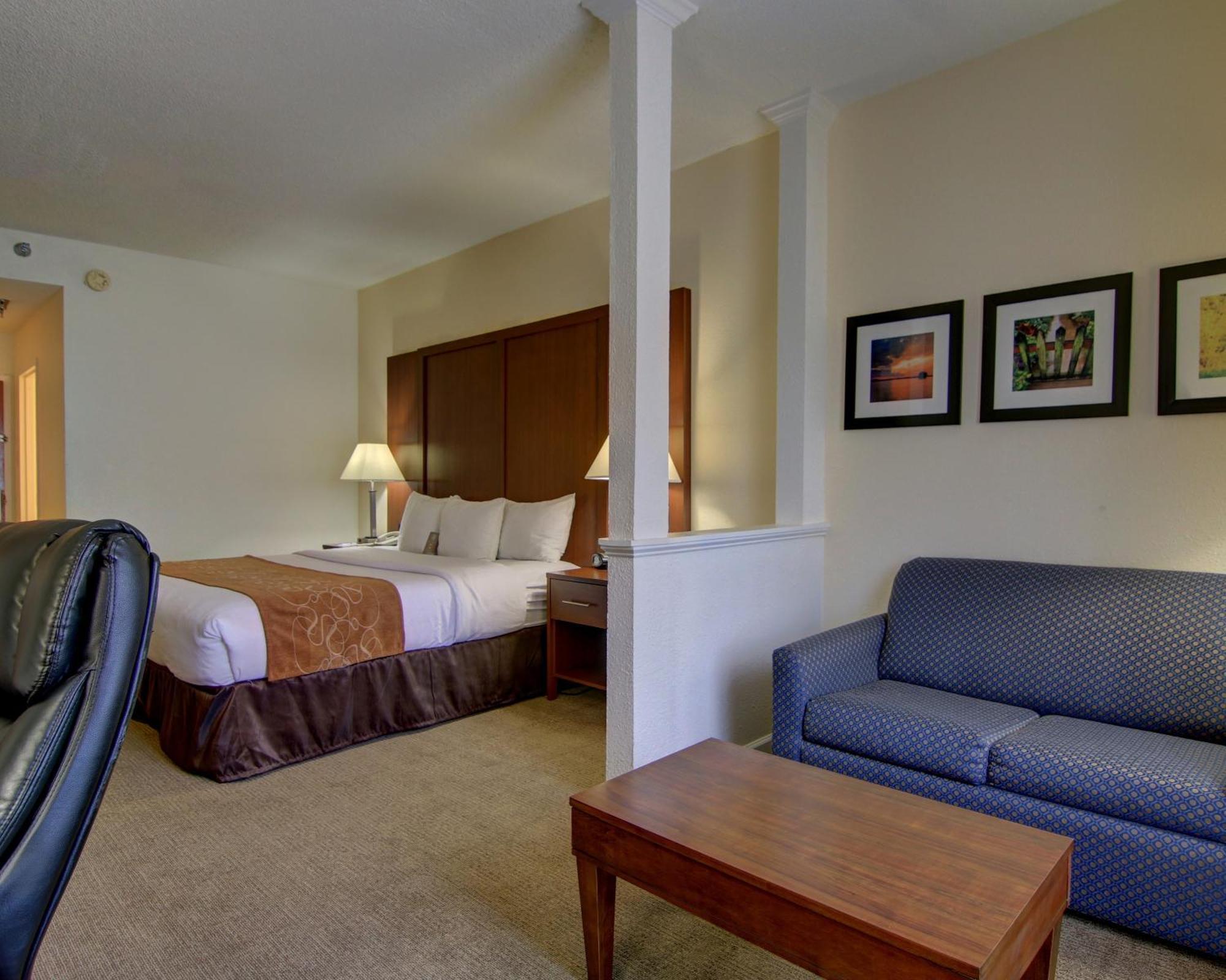 Comfort Suites Cumming-Atlanta Near Northside Hospital Forsyth Oda fotoğraf